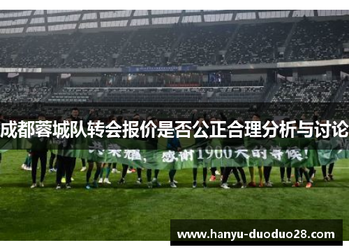 成都蓉城队转会报价是否公正合理分析与讨论