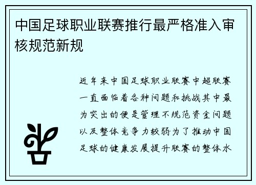 中国足球职业联赛推行最严格准入审核规范新规
